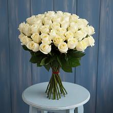 Букет 51 Белая роза Эдлесс Лав #REPLACE_PRED# Изобильном