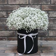 Цветочная композиция из Гипсофила в шляпной коробке #REPLACE_PRED# Изобильном