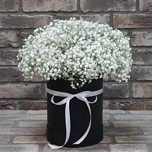 Цветочная композиция из Гипсофила в шляпной коробке в Изобильном