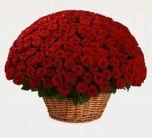 Премиум букет из: Розы #REPLACE_PRED# Изобильном